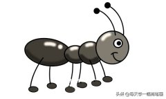 涂色蚂蚁的简笔画画法（可爱卡通小蚂蚁简笔画步骤图片）