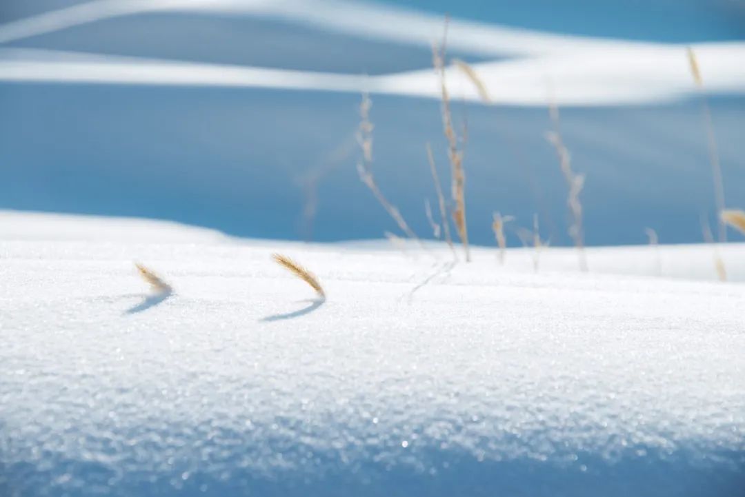 美到灵魂里的诗句（赞美雪的十首诗词赏析）