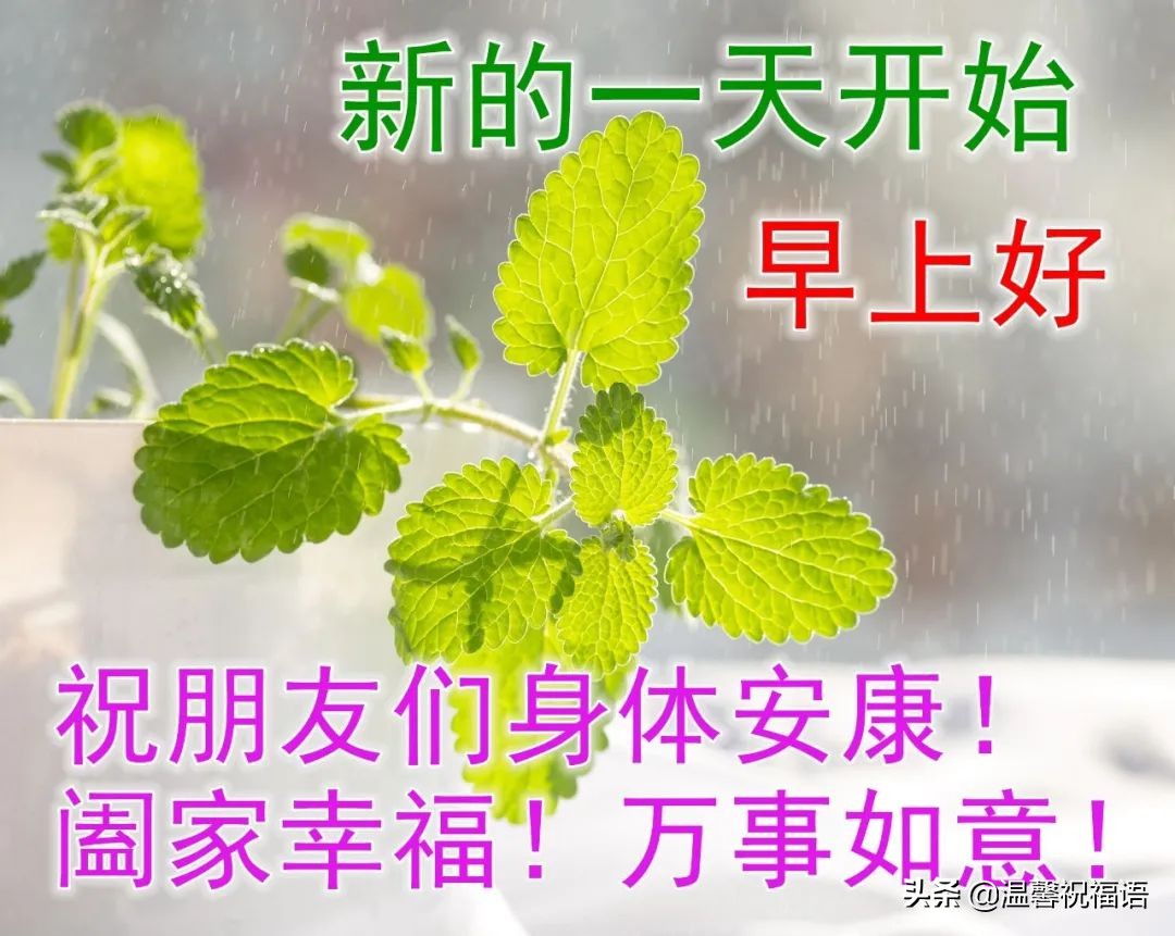 关于清晨早上祝福语句，新的一周祝大家事事顺利