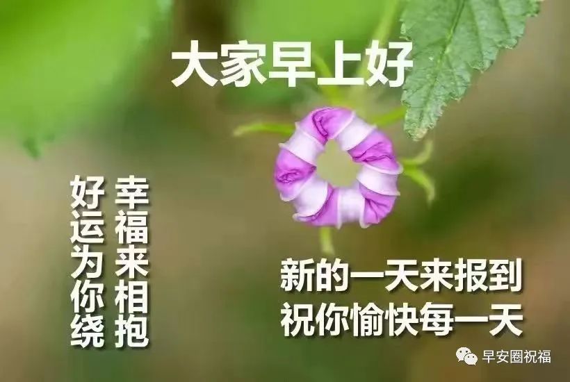 表达早安问候祝福语赏析（一句良言，可令人一生受益）