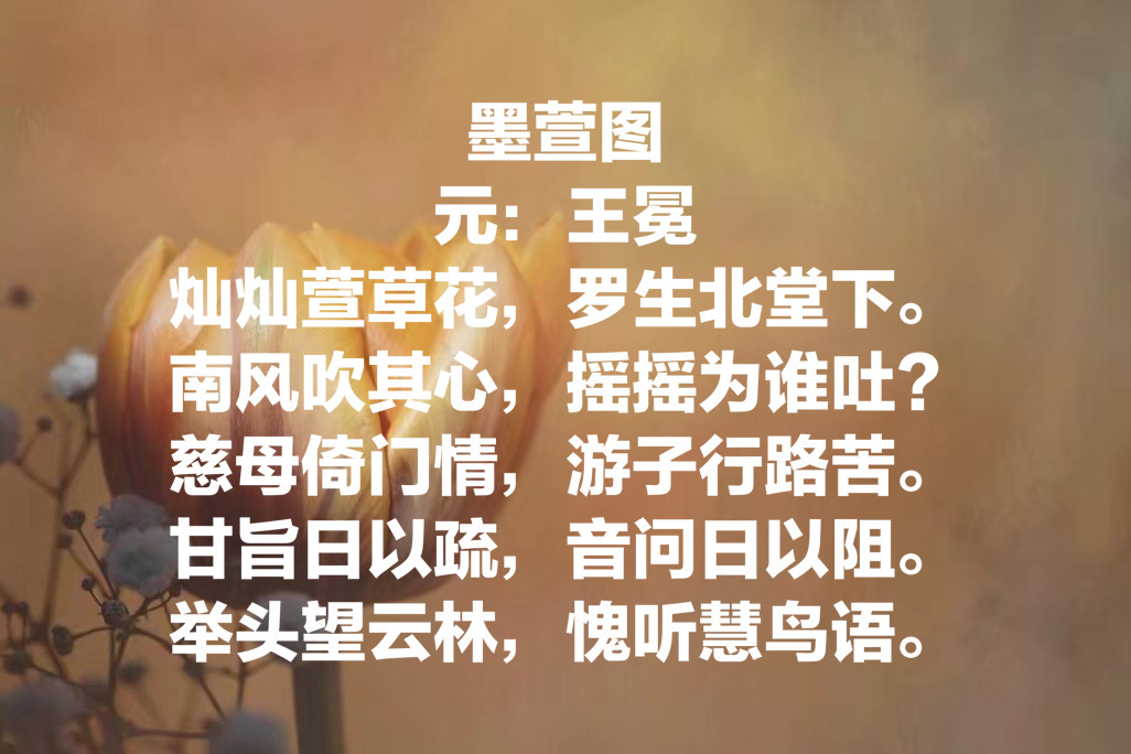 关于母亲节的十首古诗（母爱是最伟大的）