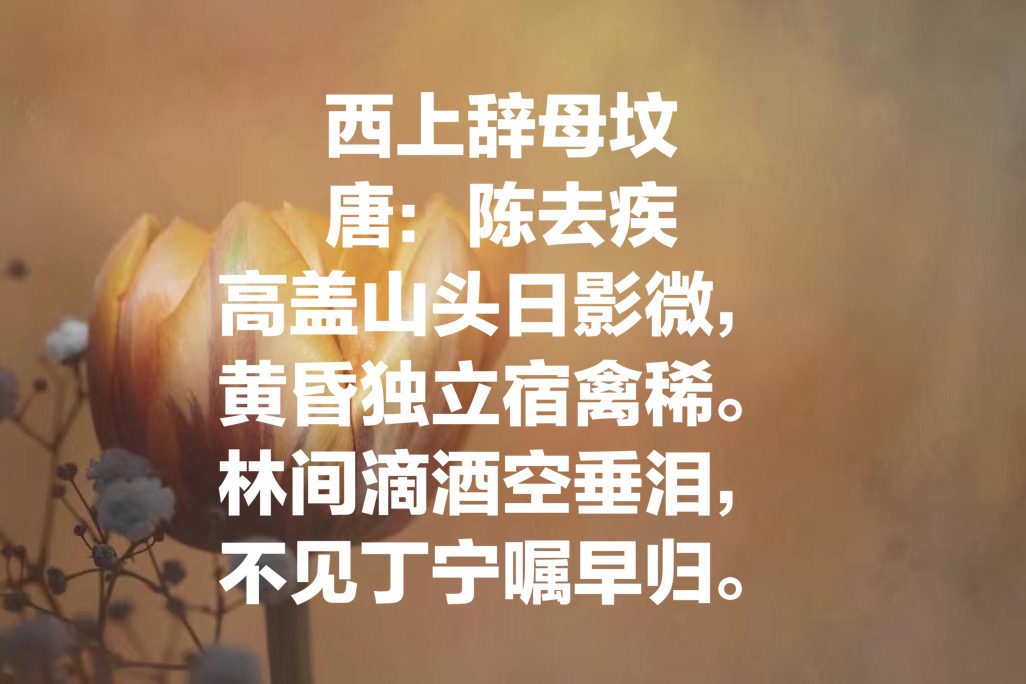 关于母亲节的十首古诗（母爱是最伟大的）