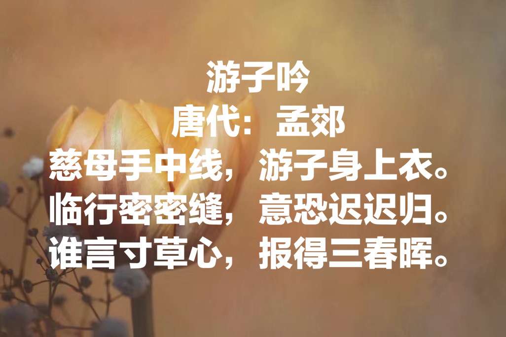 关于母亲节的十首古诗（母爱是最伟大的）