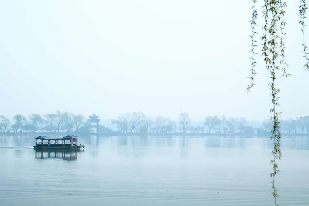 有关优美的8首春雨诗词赏析（春雨润万物，人间朝气生）