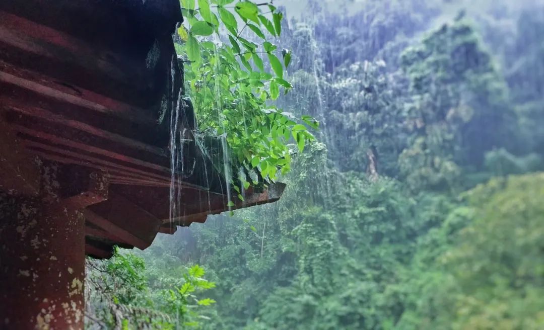 有关优美的8首春雨诗词赏析（春雨润万物，人间朝气生）