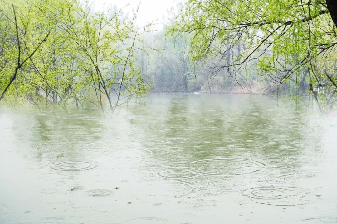 有关优美的8首春雨诗词赏析（春雨润万物，人间朝气生）