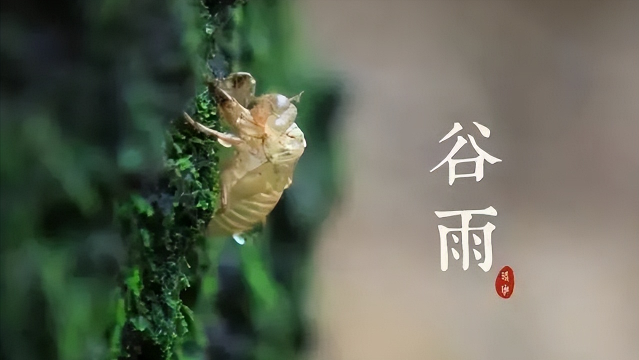 二十四节气谷雨古诗，形容谷雨古诗节气的诗句