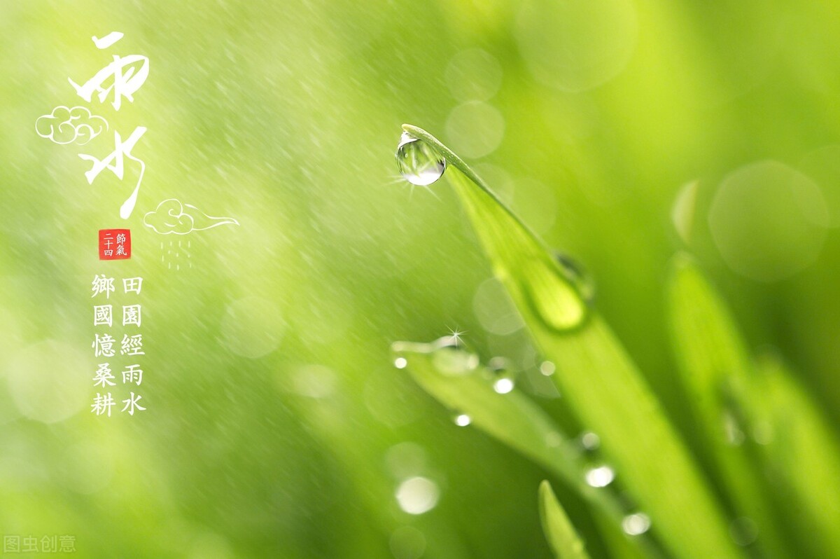 雨水节气的古诗词推荐（6首雨水节气的古诗词）