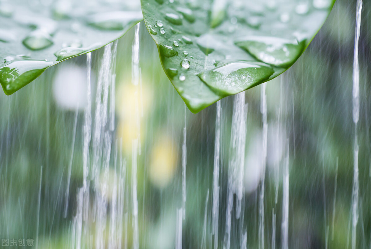 雨水节气的古诗词推荐（6首雨水节气的古诗词）