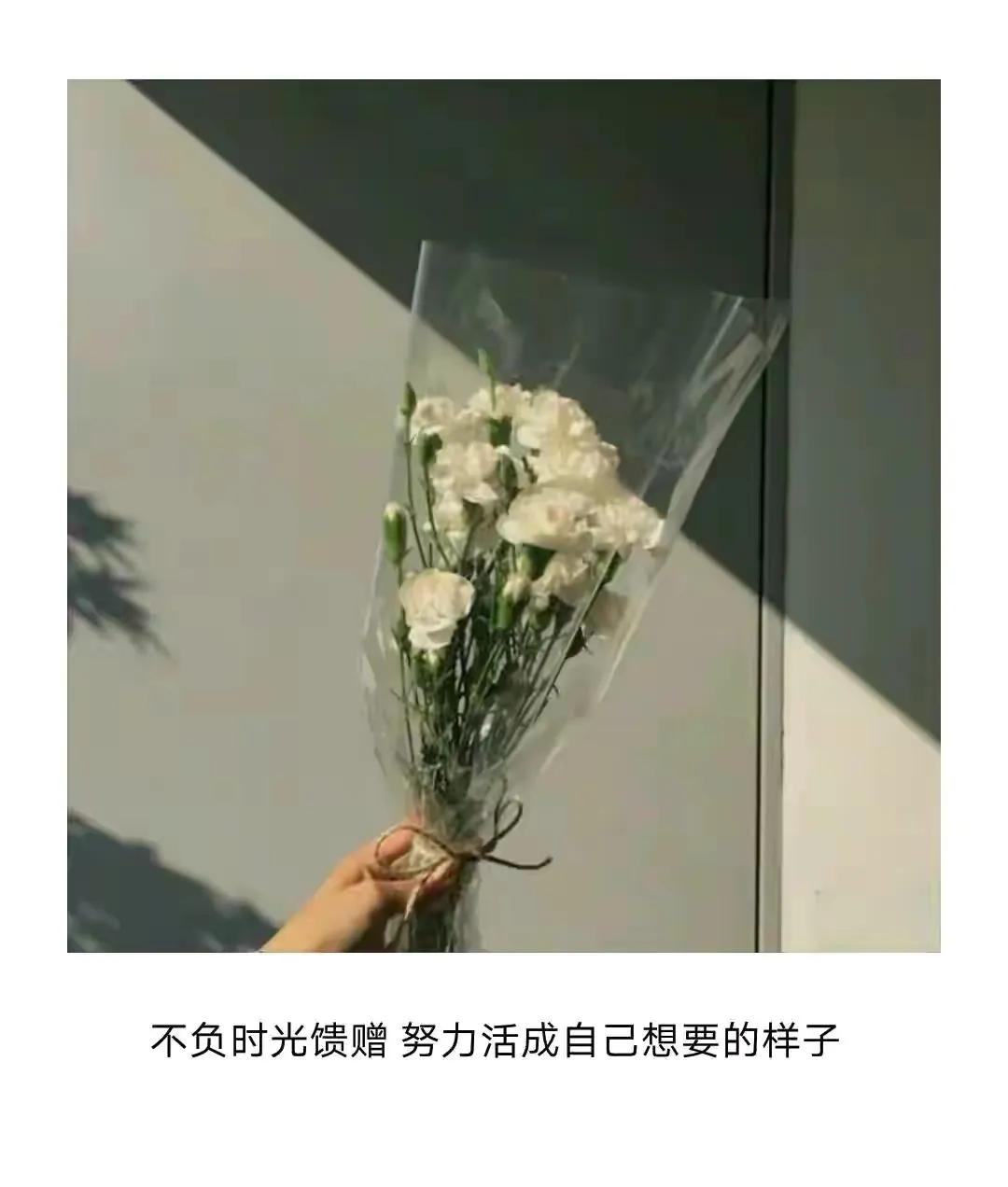 三八妇女节祝福高级文案（女神节快乐问候语及暖心短句）