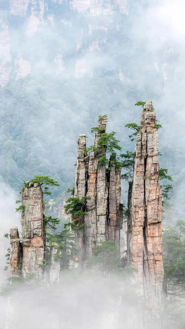 关于父亲节的暖心文案赏析（父亲的爱，深沉如山）