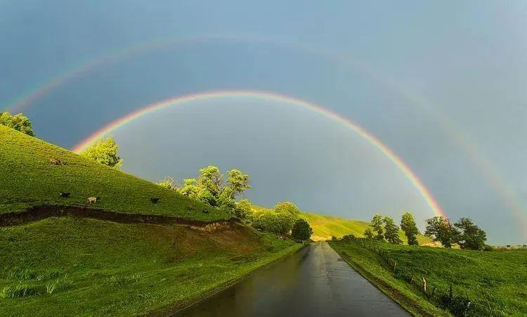 描写雨霁的诗词合集（10首关于雨霁诗词鉴赏）