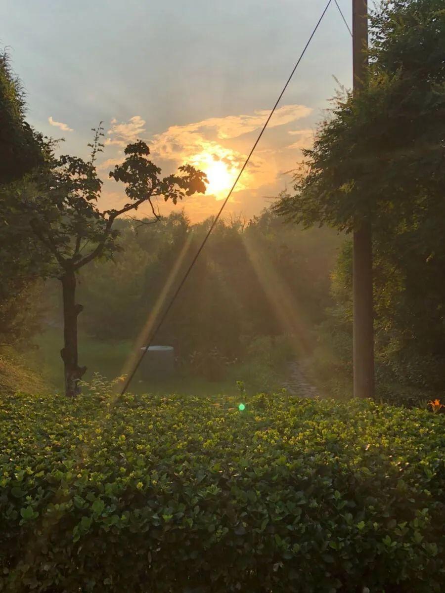 描写雨霁的诗词合集（10首关于雨霁诗词鉴赏）