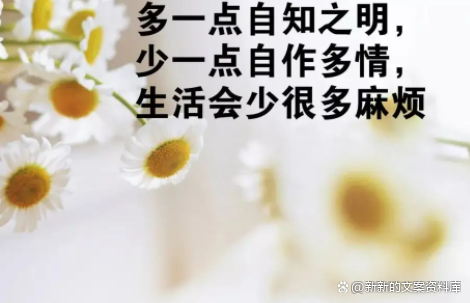 生活平淡但很享受的句子（简单生活的人生感悟文案）