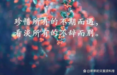 生活平淡但很享受的句子（简单生活的人生感悟文案）