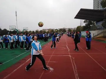 有关难忘友谊的作文精选范例（《难忘的同学之情》）