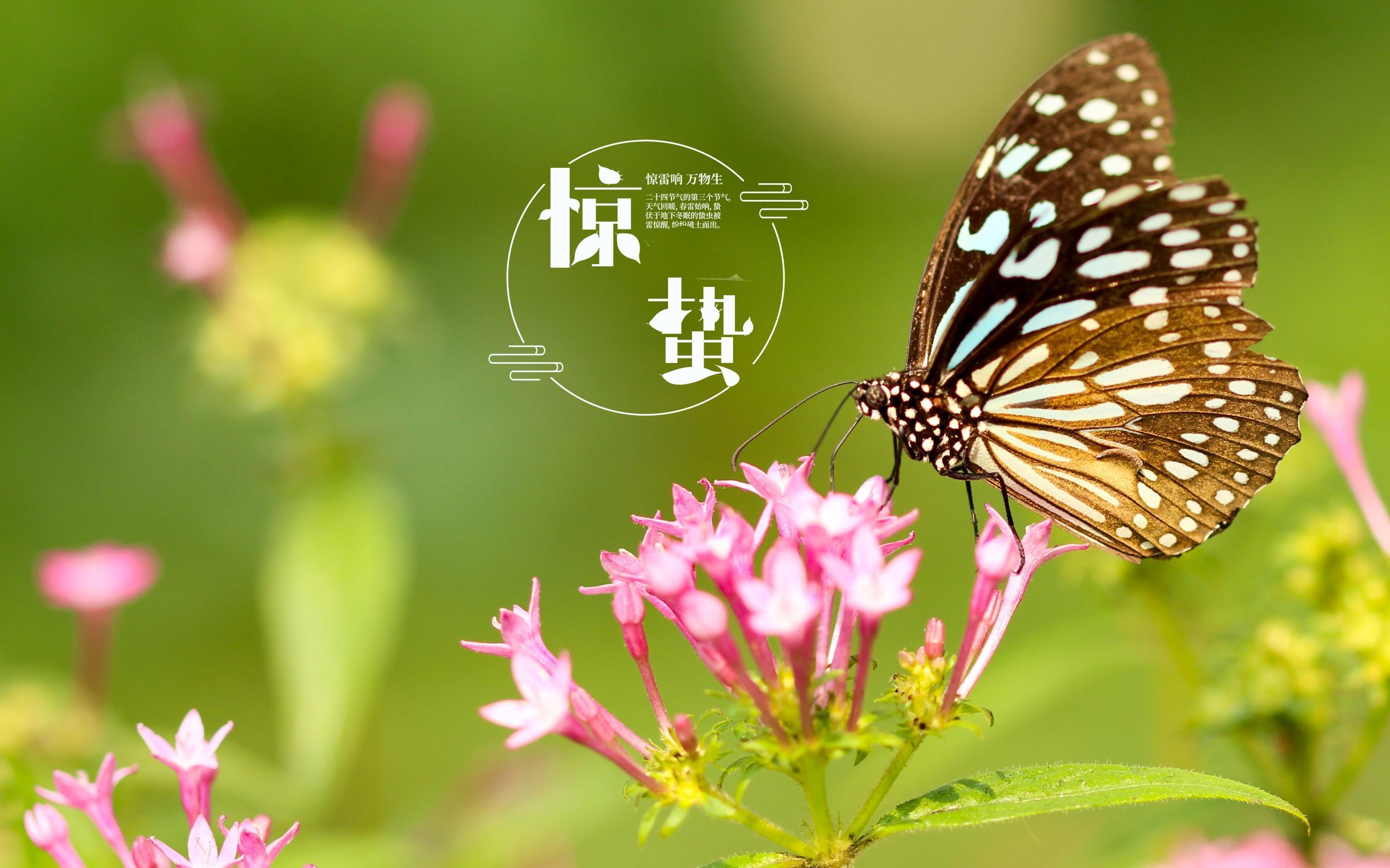 关于春雨的诗句唯美（春雨古诗词200句）