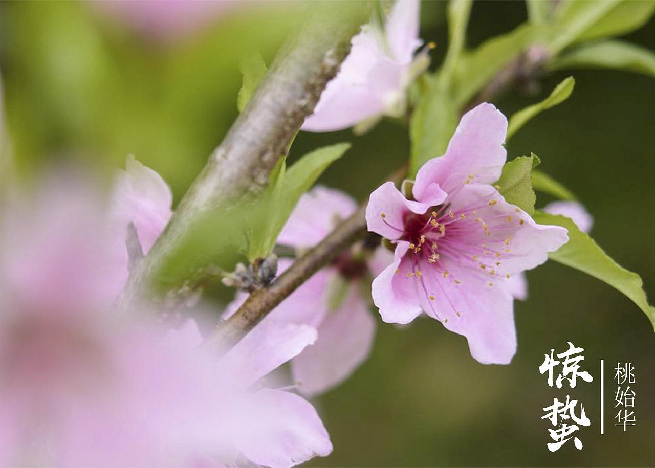 关于春雨的诗句唯美（春雨古诗词200句）