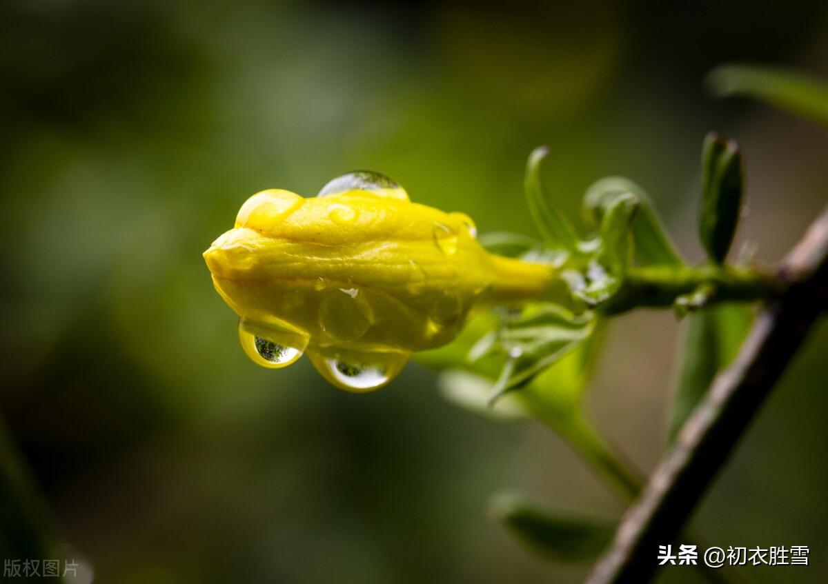 春雨春寒古诗（关于春雨春寒的古诗大全）