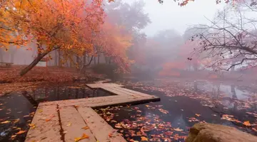 秋天的彩色作文（《故乡的秋天》）