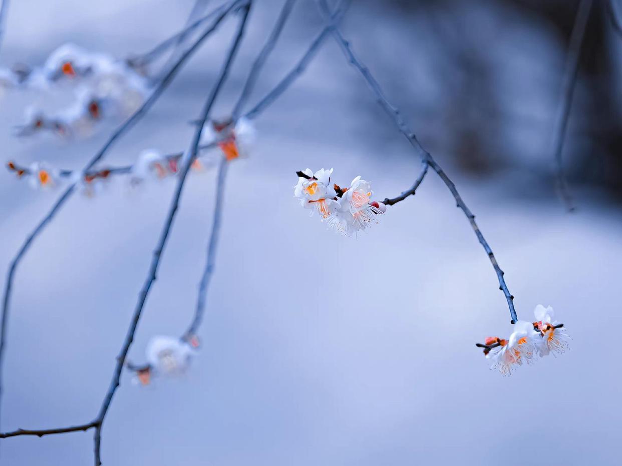 自在飞花轻似梦，无边丝雨细如愁（秦观十首经典词）