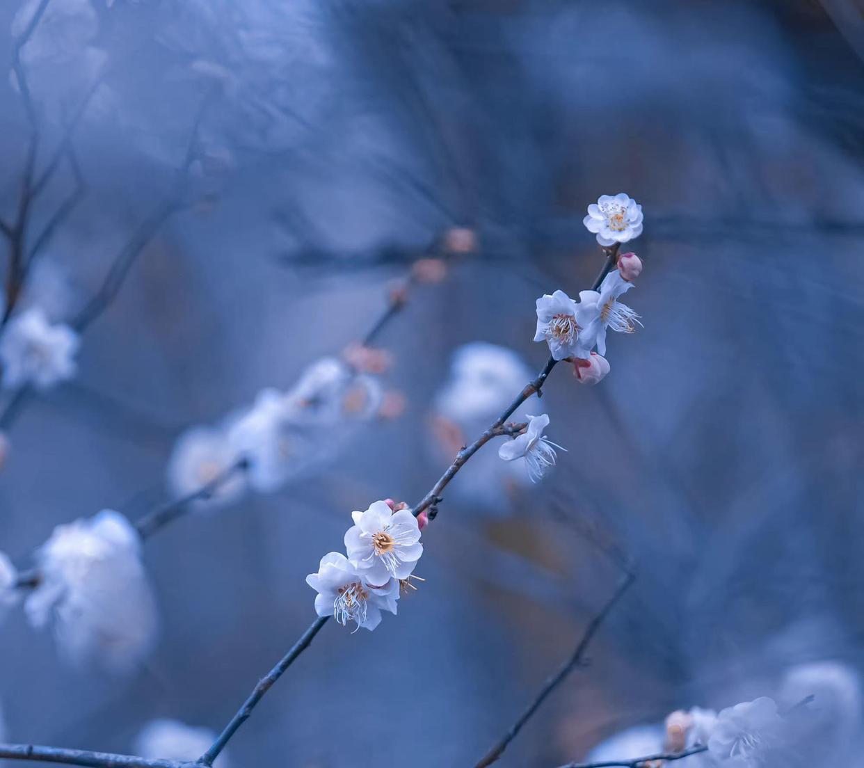 自在飞花轻似梦，无边丝雨细如愁（秦观十首经典词）