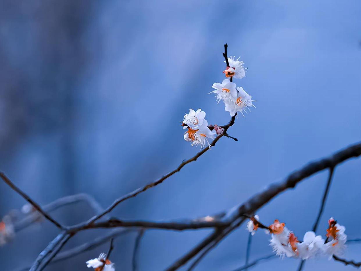 自在飞花轻似梦，无边丝雨细如愁（秦观十首经典词）