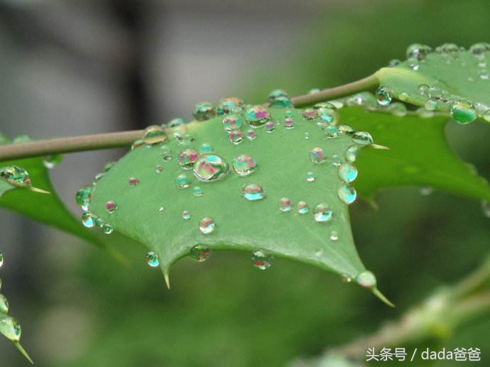 春雨经典诗词大全（描写春雨的古诗21首）