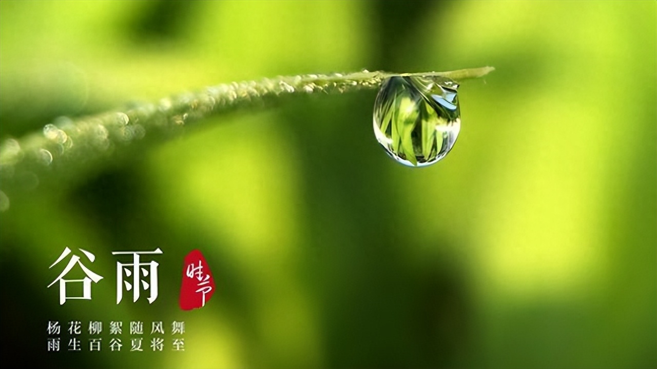 二十首唯美谷雨诗词推荐（谷雨春光晓，山川黛色青）