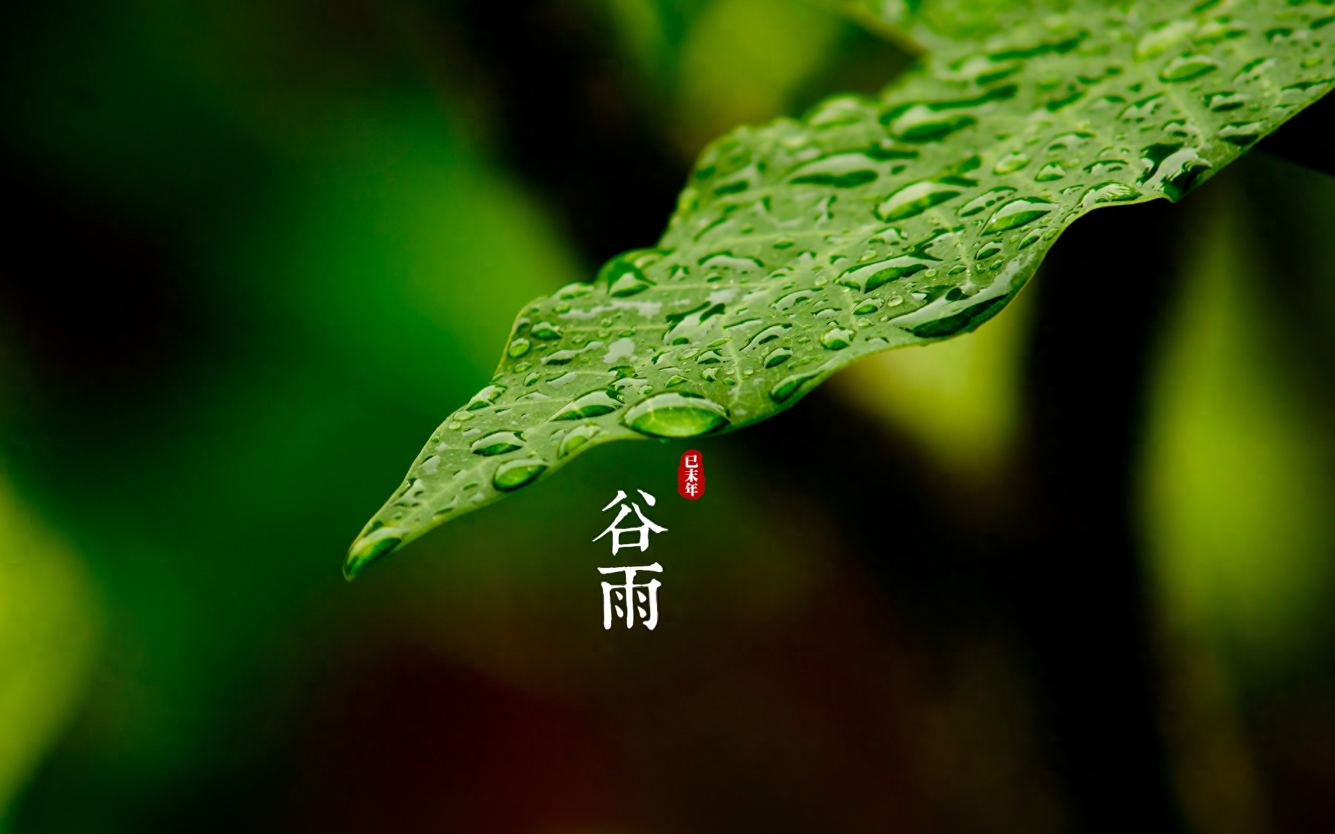 二十首唯美谷雨诗词推荐（谷雨春光晓，山川黛色青）