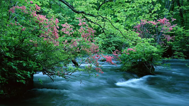 飘逸灵动，意境幽远（八首夏天唯美五绝诗词）