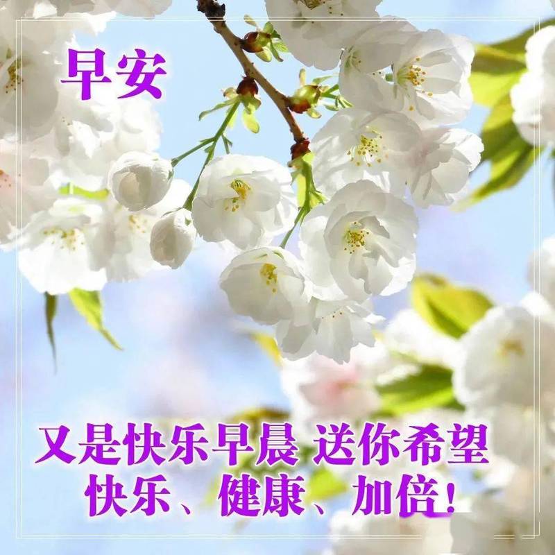 有关早安问候唯美句子的句子简短（清晨的美好，早安的祝福）