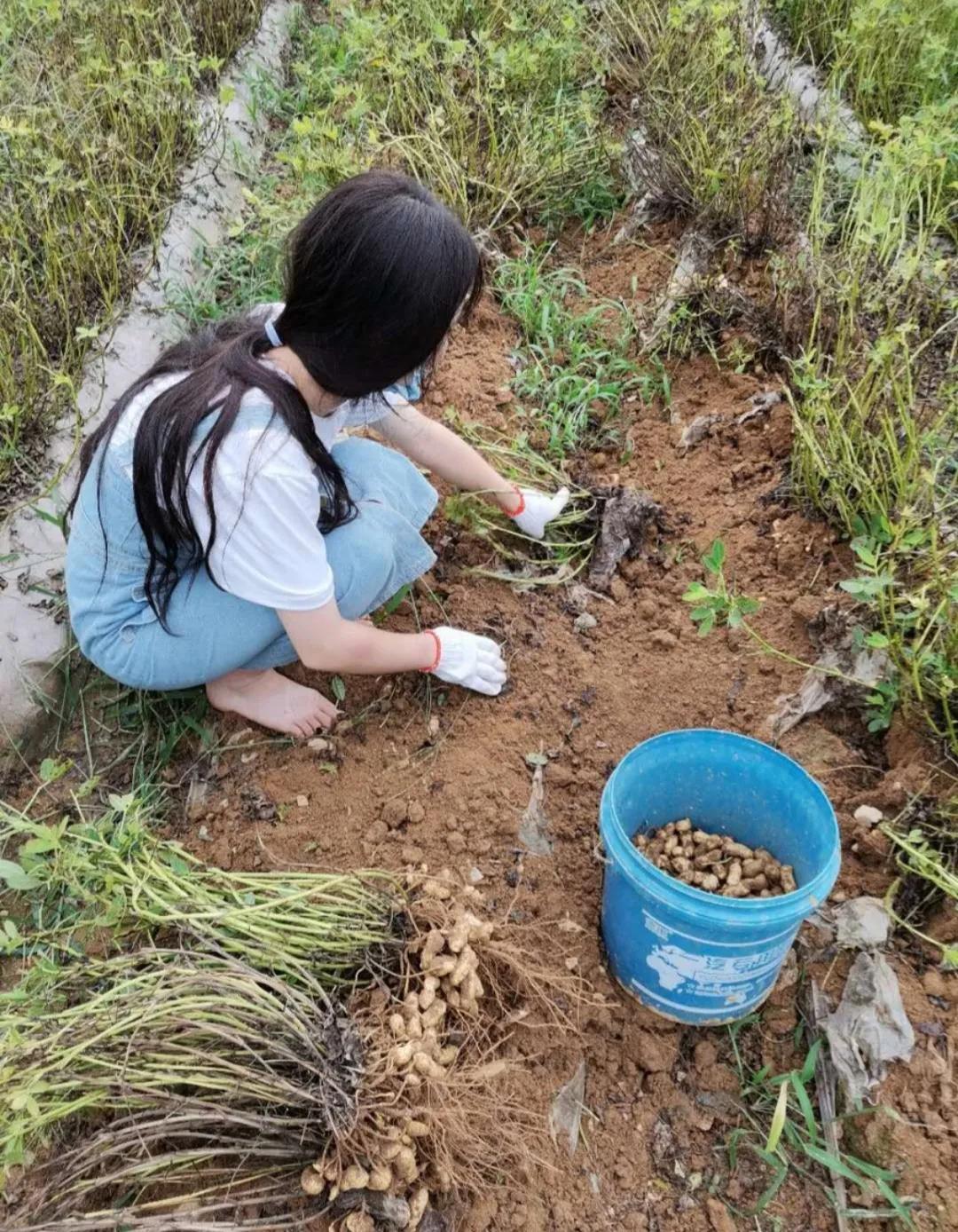 工作奋斗坚守岗位的优美句子（赞美坚守平凡岗位的经典佳句）