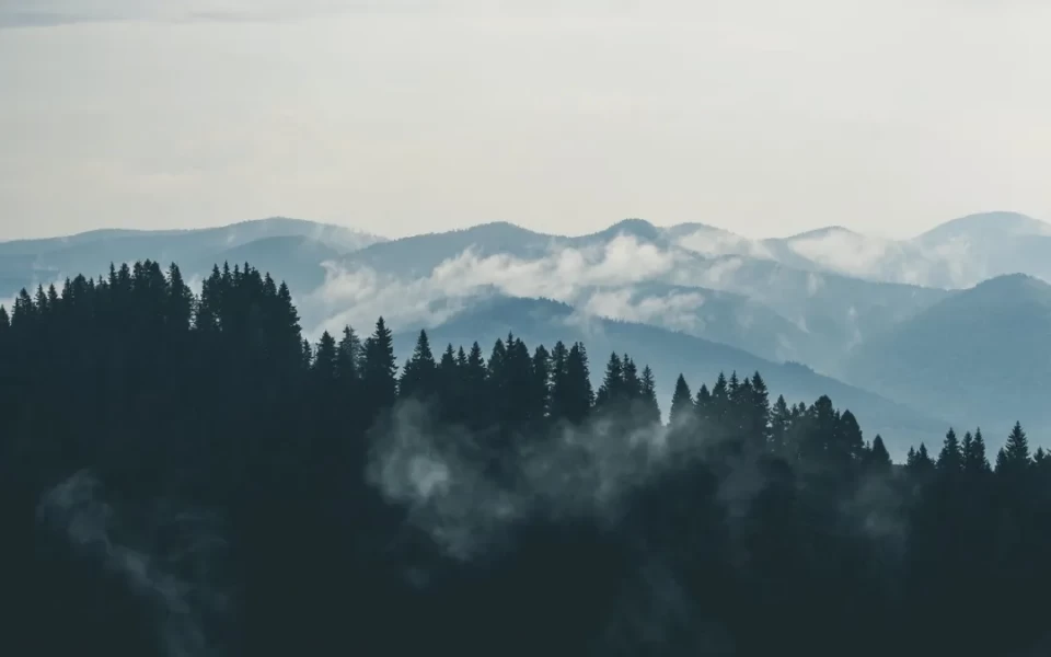 描写人情淡薄的诗句（简短现实生活有很扎心的句子）