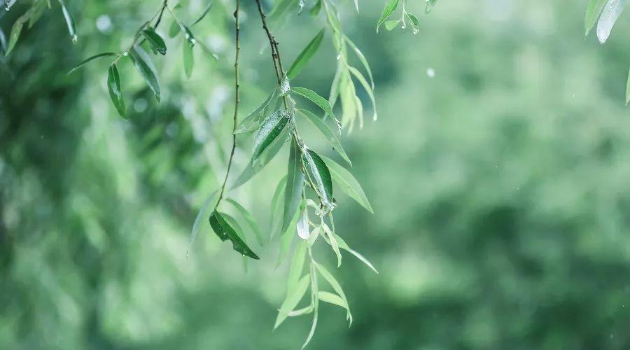 小学优秀作文好大好大的雨欣赏，精选小学四年级范文