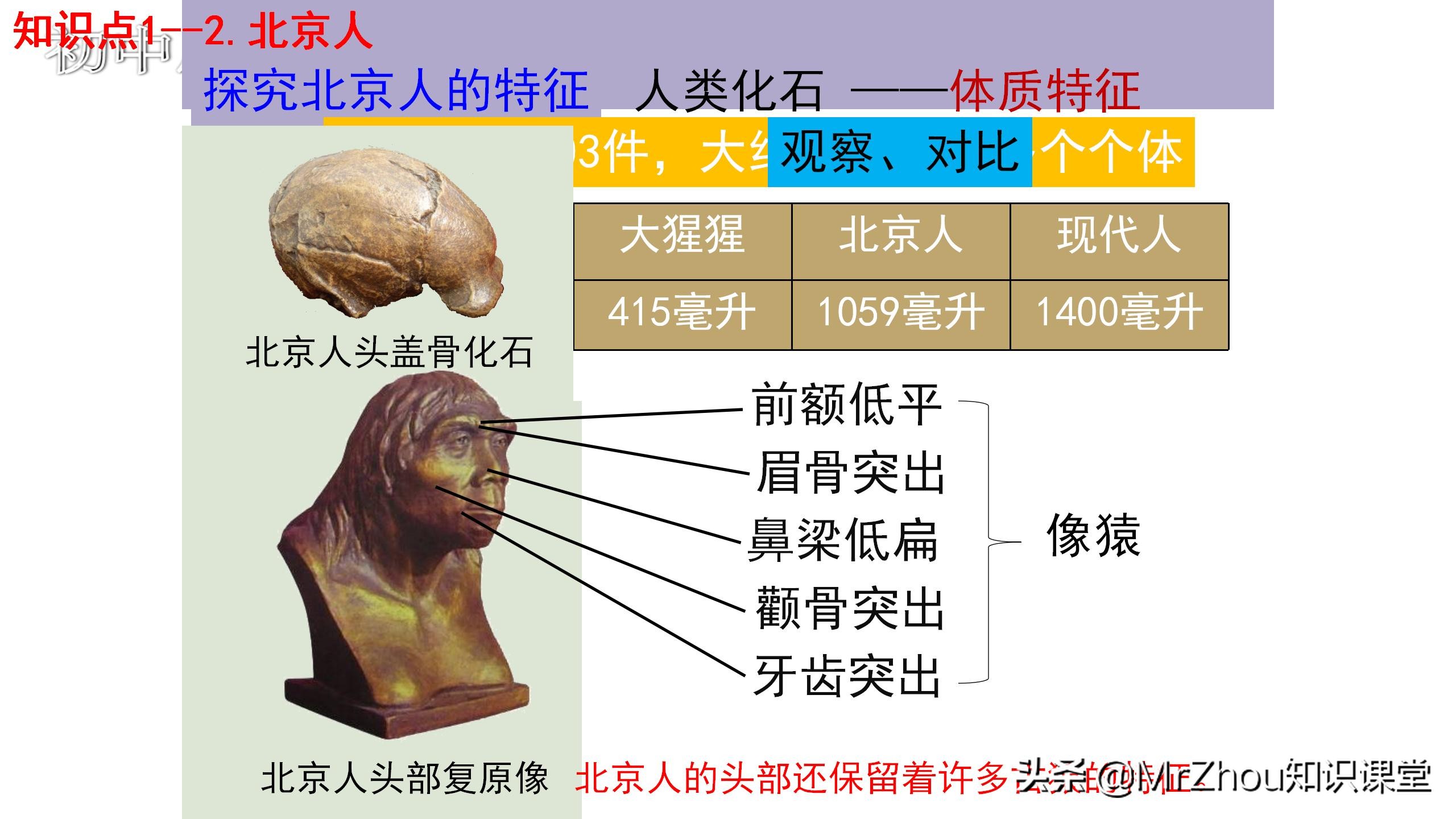 初一上册历史知识点，历史重点梳理和解题方法