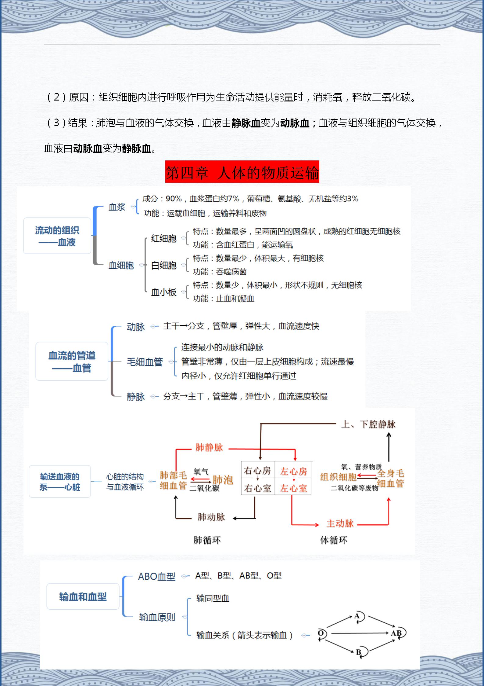 生物七下重点知识点总结（初中生物章节内容梳理）