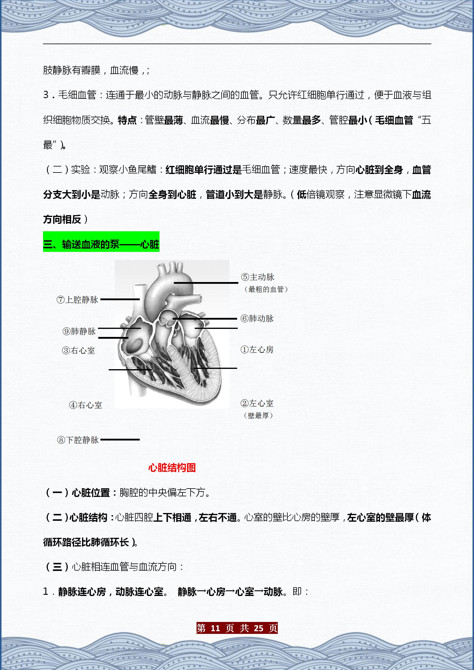 生物七下重点知识点总结（初中生物章节内容梳理）