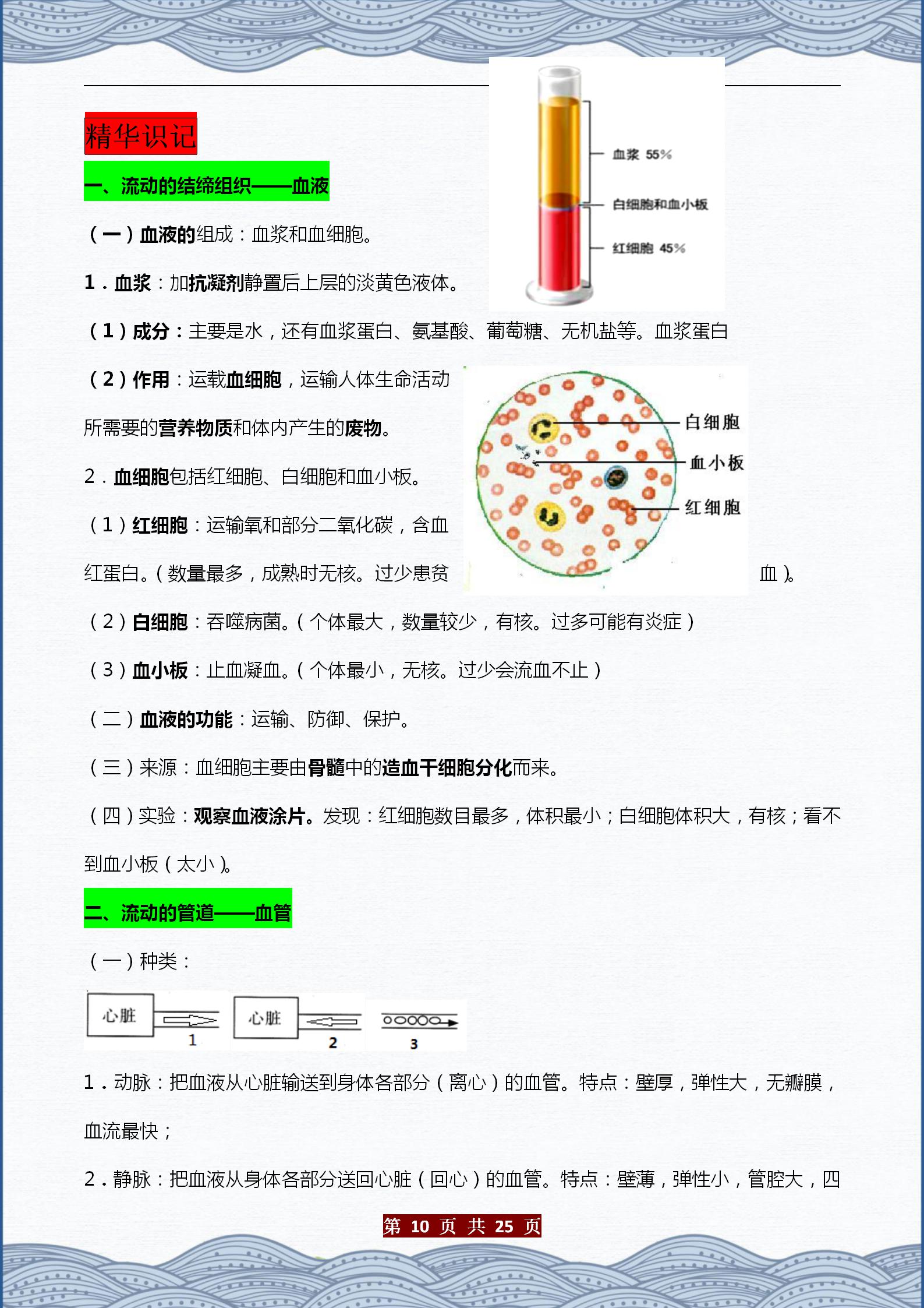 生物七下重点知识点总结（初中生物章节内容梳理）