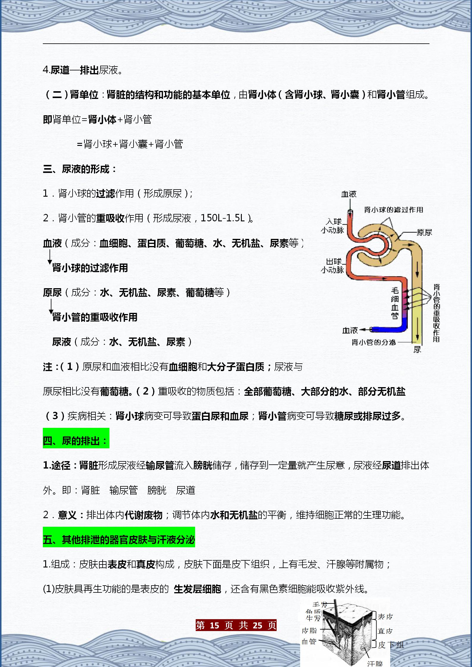 生物七下重点知识点总结（初中生物章节内容梳理）