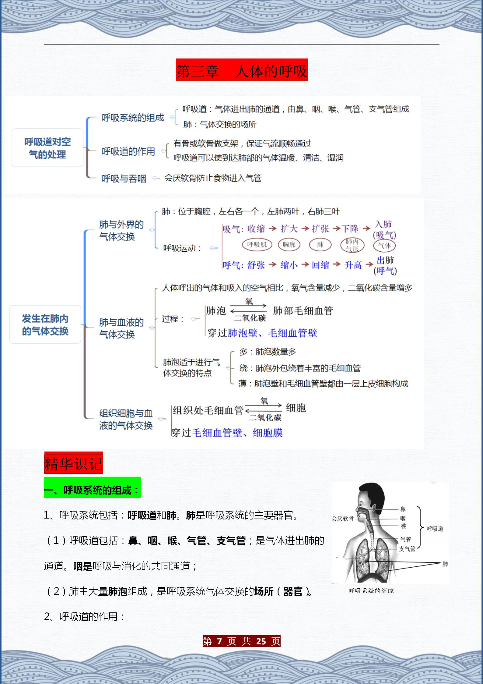 生物七下重点知识点总结（初中生物章节内容梳理）