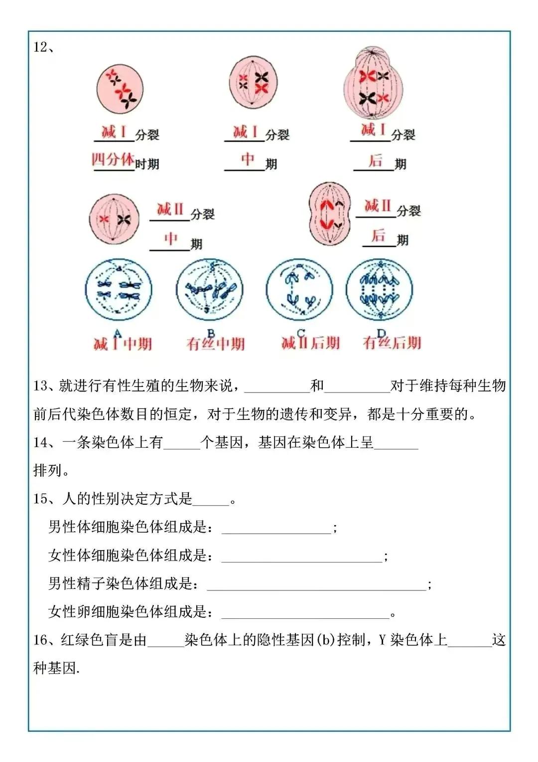 高三复习生物背考点策略，生物复习222个填空题