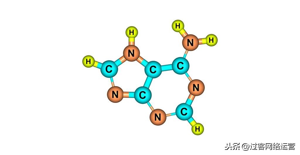 高中生物的还原糖检测（生物必修一实验大总结）