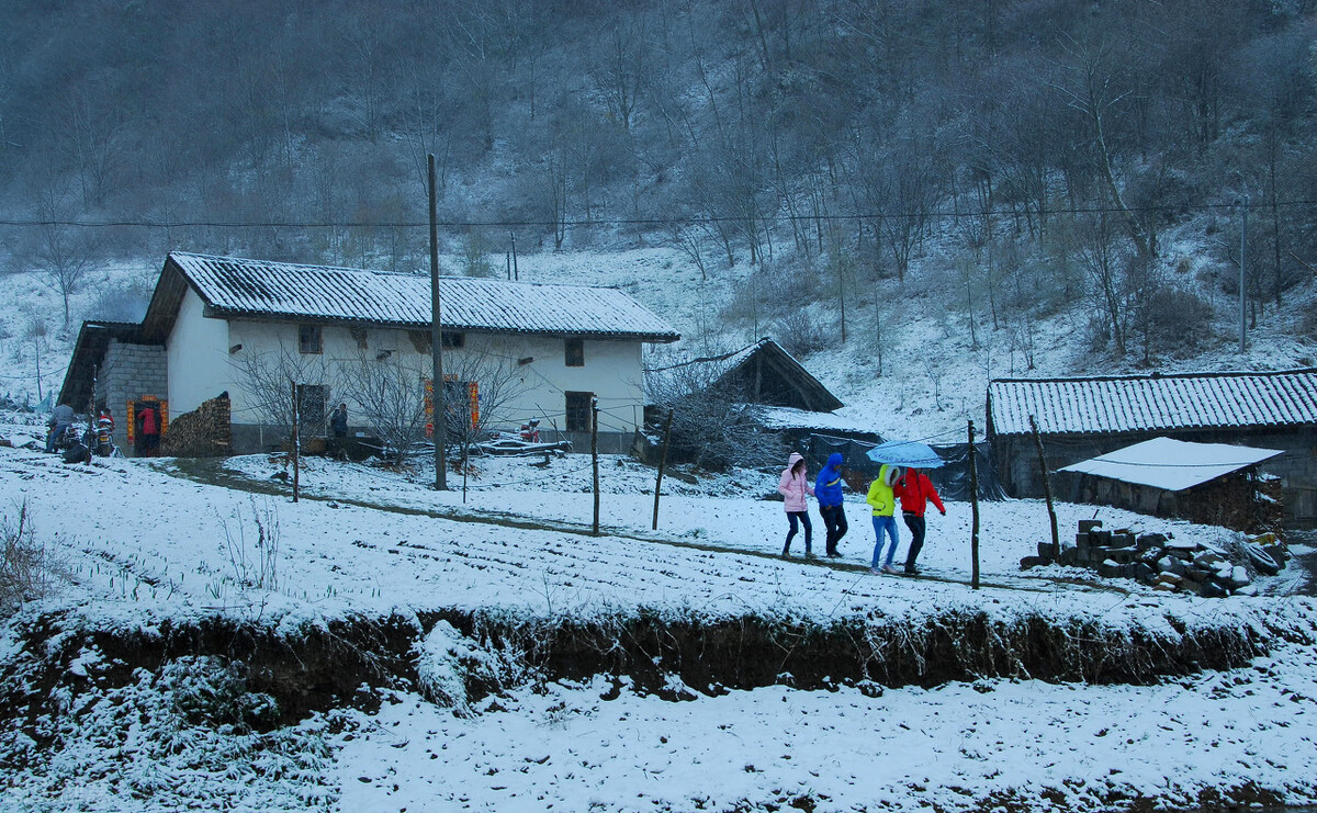 关于雪痕小学作文（精选写景篇）