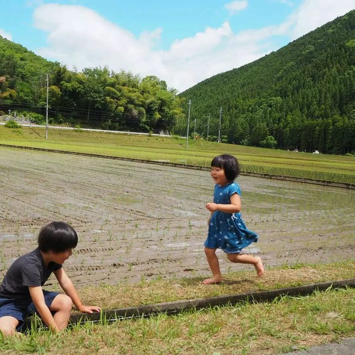 这件事让我感到愧疚作文（小学生500字范文）