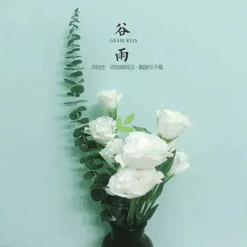 谷雨节气朋友圈经典句子（精选90句优美短句）