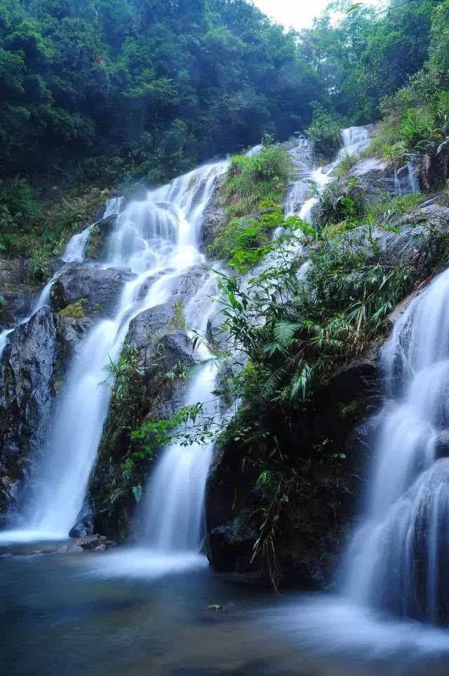 优秀作文为什么原谅（精选500字范文）