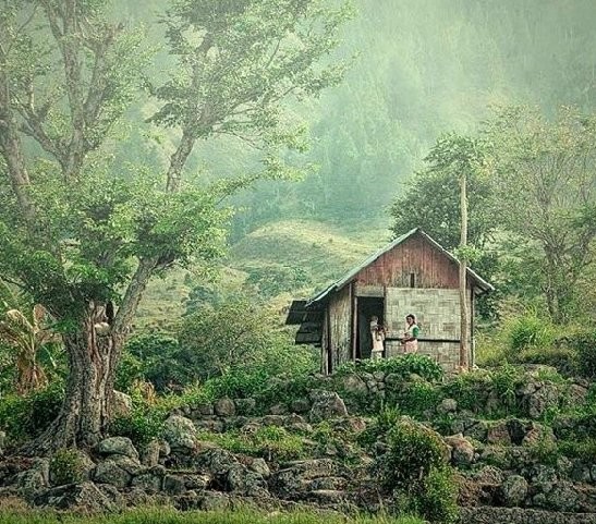 铁打的意愿流水的兵记事文（分享优秀范文）