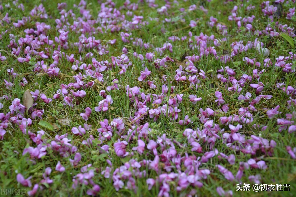 屈原时代的芳草有哪些（推荐晚春芳草古诗八首）