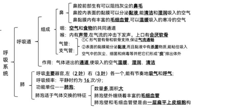 七年级下册生物书内容，88条初中生物重点知识点